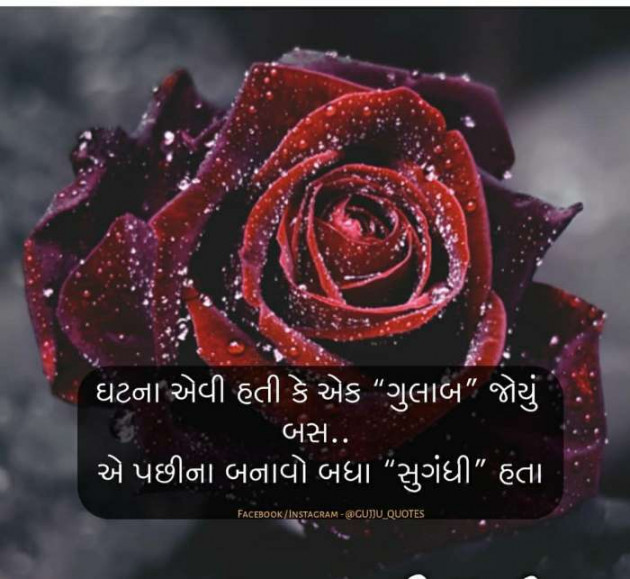 Gujarati Romance by Vira : 111157732