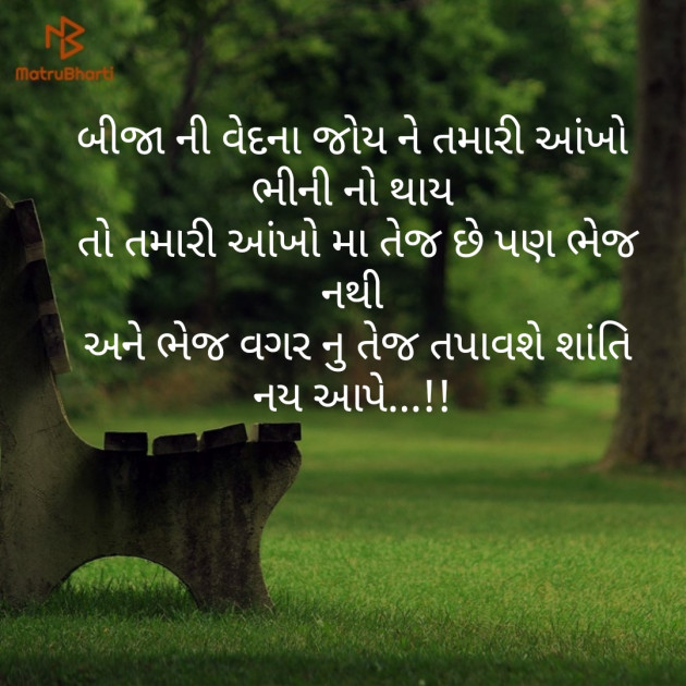 Gujarati Good Night by Shailesh jivani : 111158307