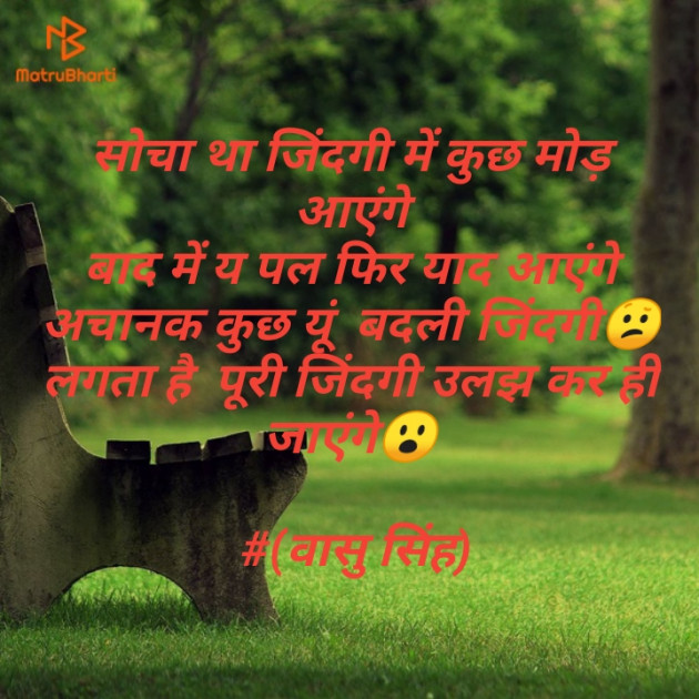 Hindi Shayri by Vashu Singh Khangar : 111158323