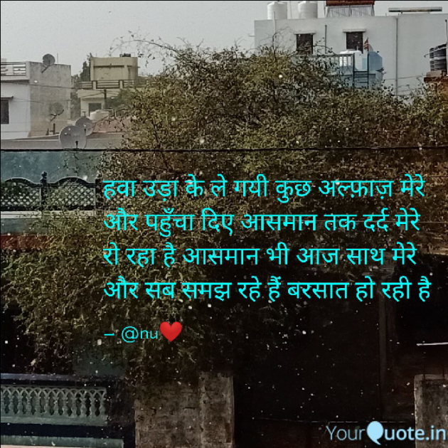 English Shayri by अnu : 111159262