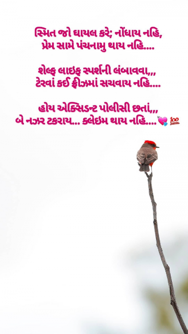 Gujarati Funny by Krishna Timbadiya : 111159416