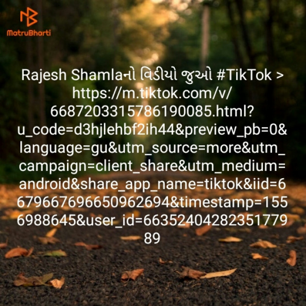 Gujarati Whatsapp-Status by Nitin Rabari : 111159487