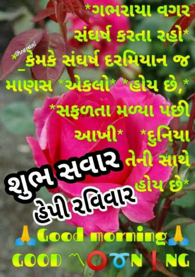 Gujarati Good Morning by Mehul Kumar : 111159649