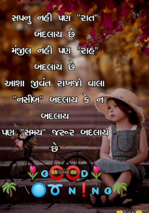 Post by Yash Ghumaliya on 05-May-2019 07:32am