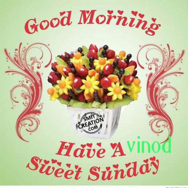 Gujarati Good Morning by Vinod Solanki Solanki Vinod : 111159723