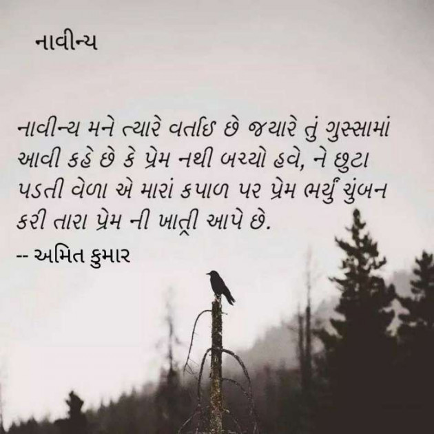 Gujarati Whatsapp-Status by Amit Nahierwala : 111160139