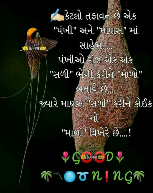 Gujarati Good Morning by Mehul Kumar : 111160714