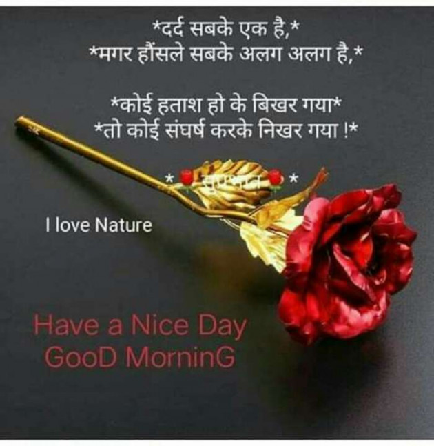 Gujarati Good Morning by Aarti : 111160810