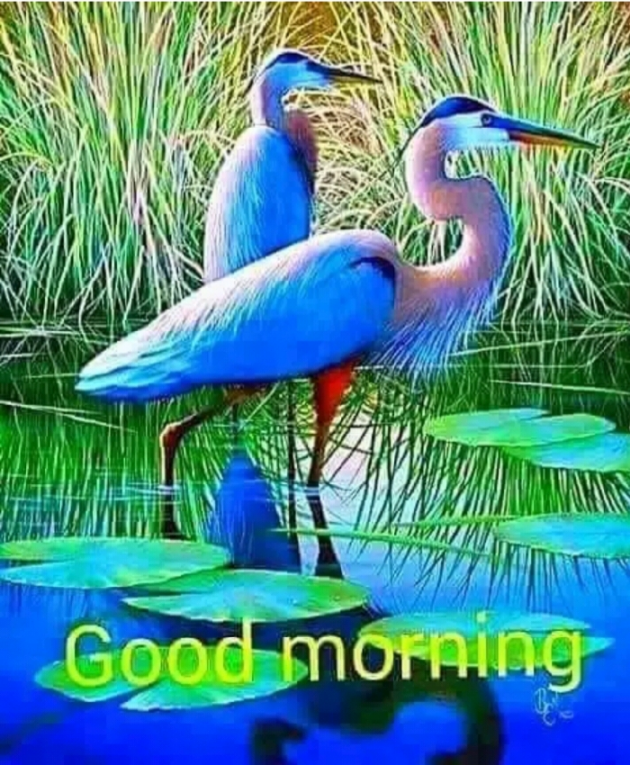 Hindi Quotes by V K : 111161102
