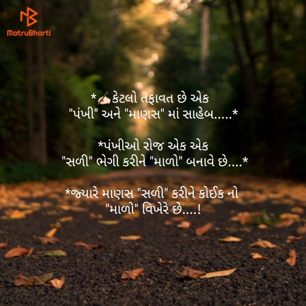 Gujarati Thought by kadam raju : 111161148