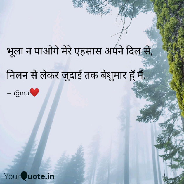 English Shayri by अnu : 111161272