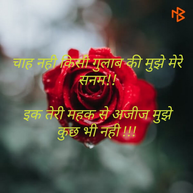 English Shayri by Kushwaha Arush : 111161276