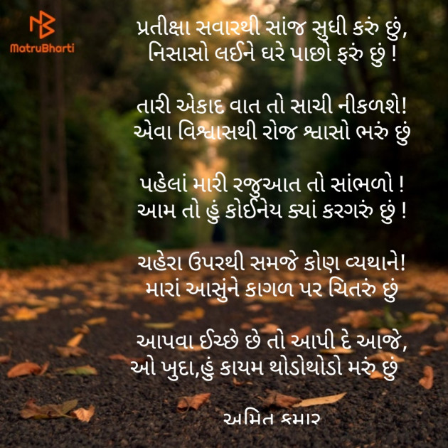 Gujarati Blog by Amit Nahierwala : 111161279
