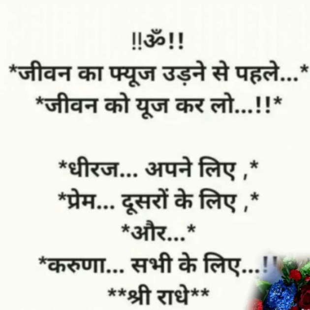 Gujarati Whatsapp-Status by Manoj Manoj : 111161406