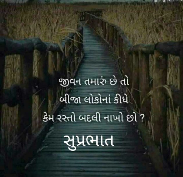 Gujarati Whatsapp-Status by Hemant Chauhan sikandar : 111161847