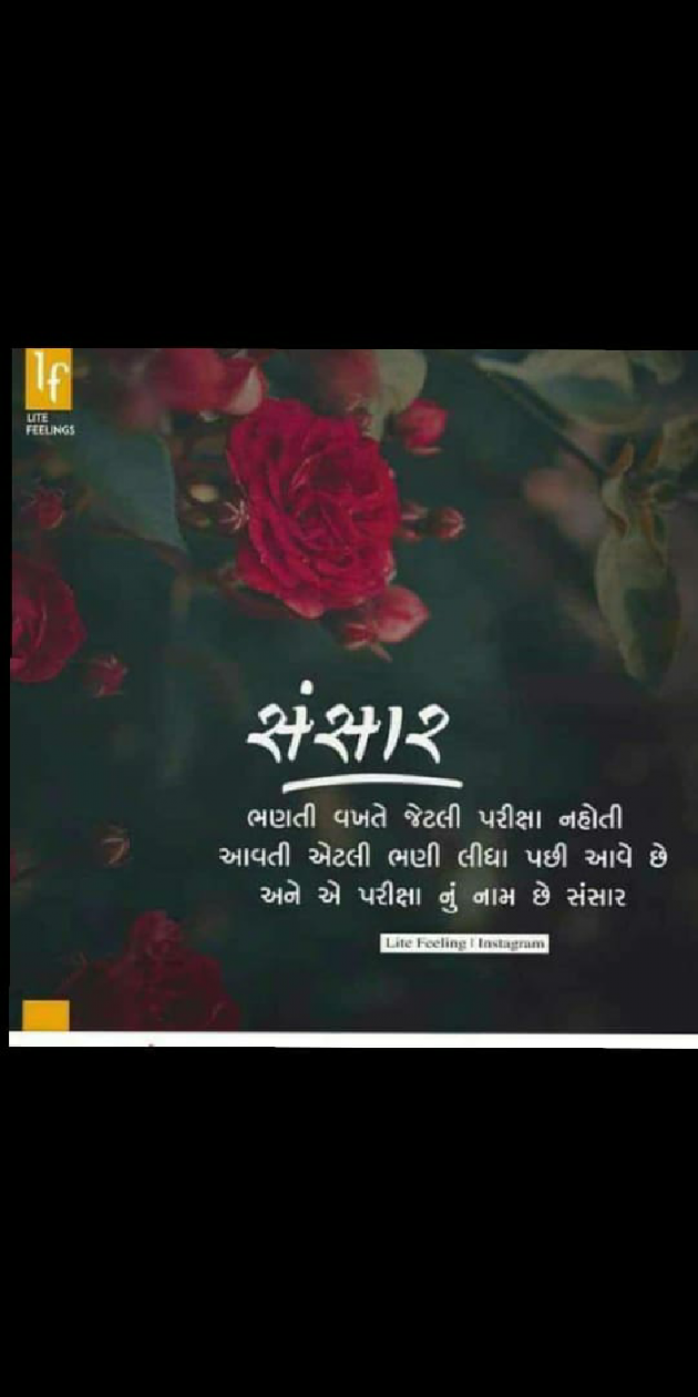 Gujarati Whatsapp-Status by Hemant Chauhan sikandar : 111161851