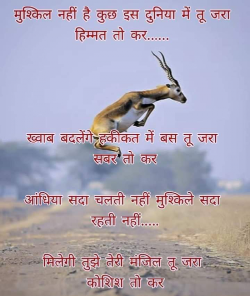 Post by Ramjankha Mehar on 07-May-2019 10:07am