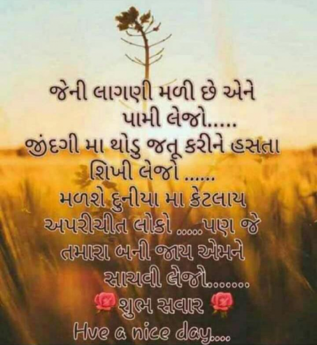 Gujarati Good Morning by Nirata Ahir : 111162466