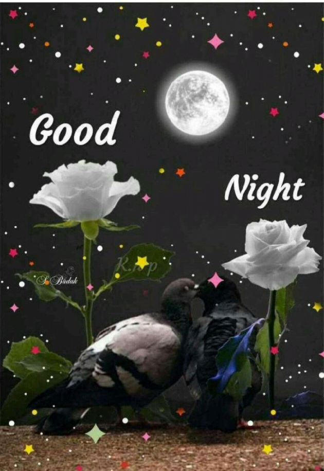 English Good Night by RATNESH. S : 111162490