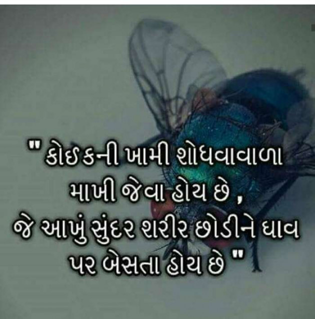 Gujarati Thought by Rahul : 111162568