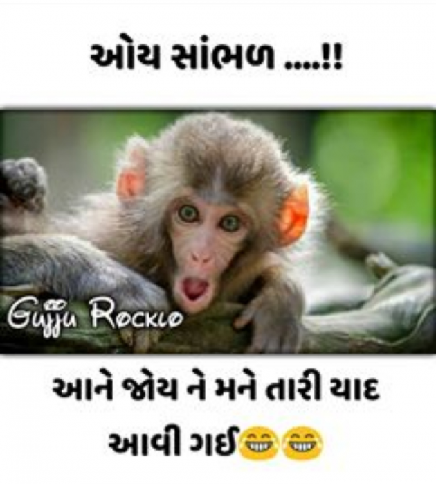 Gujarati Whatsapp-Status by Sanju Bhayani : 111162672