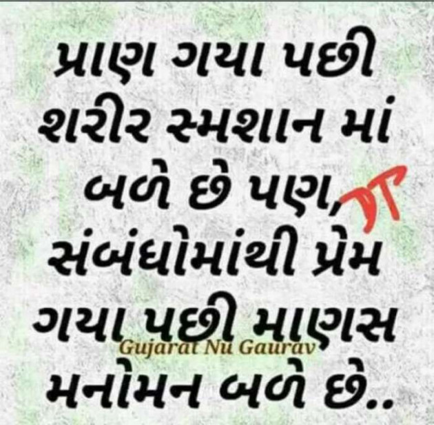 Gujarati Good Night by Nilay : 111163512