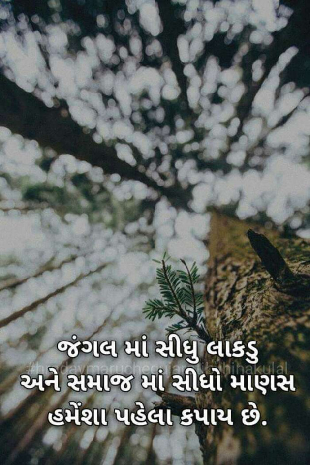 English Thought by Man Sweet : 111163882