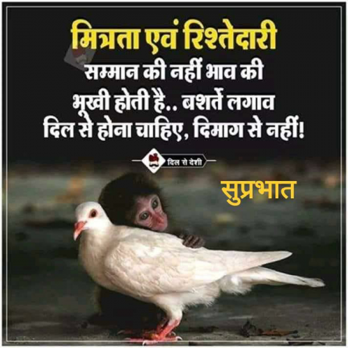 Post by Deepak Singh Rajawat on 09-May-2019 10:08am