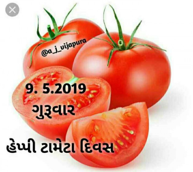 Gujarati Blog by Umesh Donga : 111164248