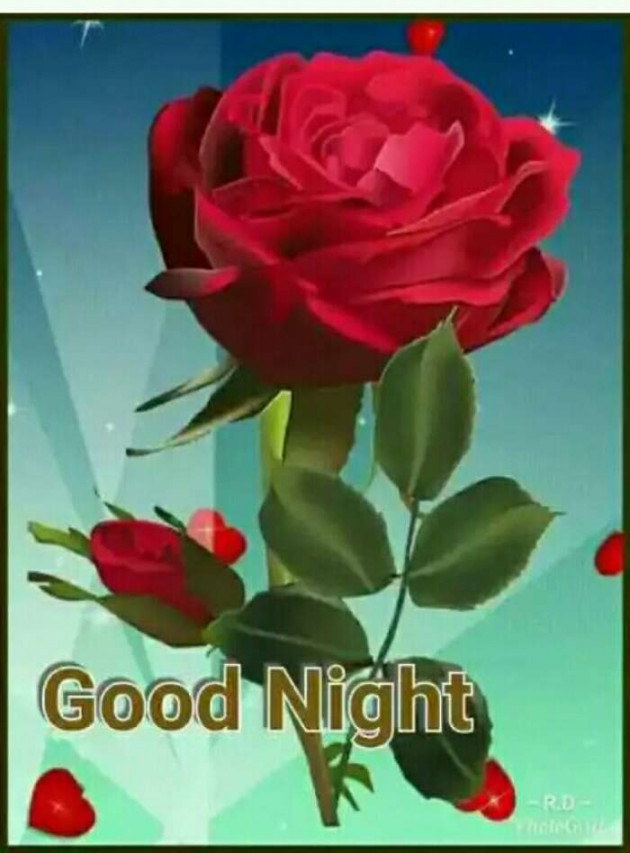 Hindi Good Night by Sudha : 111164301