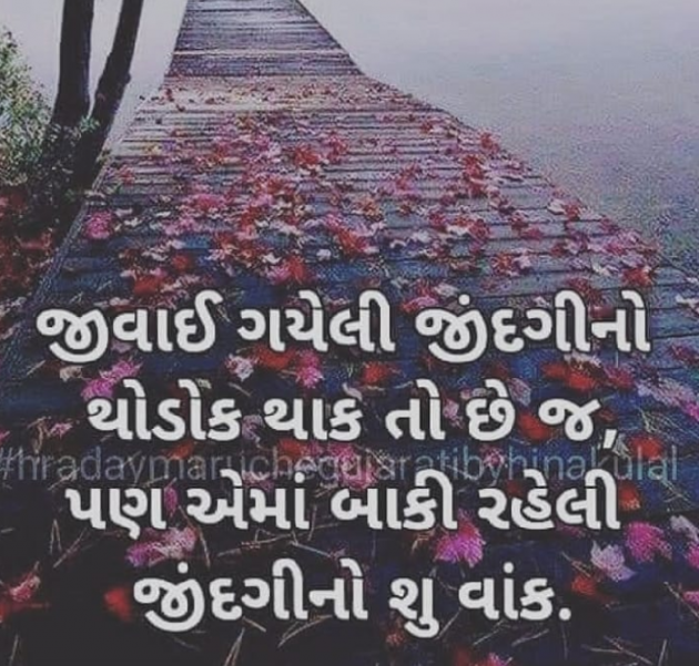 Gujarati Blog by Anil Ramavat : 111164733