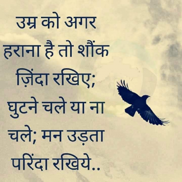 English Quotes by kmv : 111164811