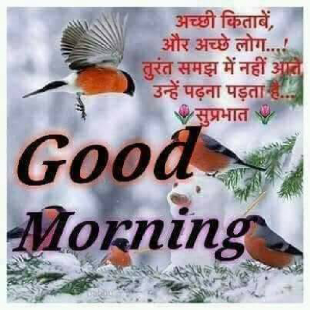 Hindi Good Morning by Raj Saini : 111164935