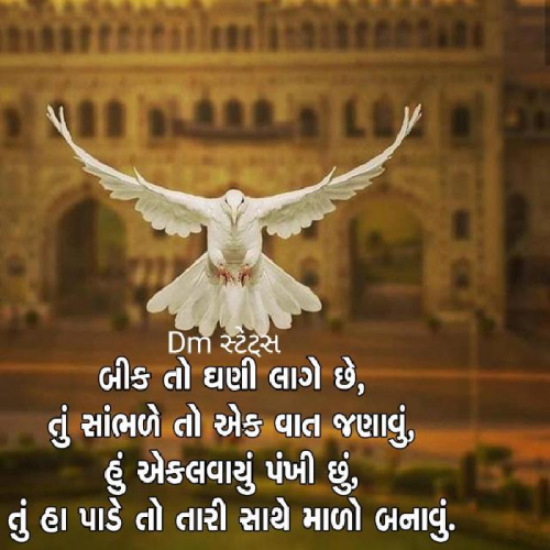 Post by Dighari Mukesh on 11-May-2019 07:35am