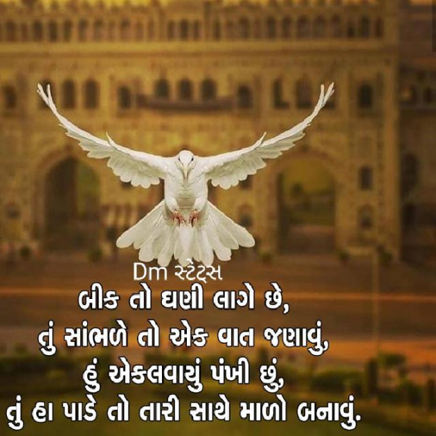 Gujarati Whatsapp-Status by Dighari Mukesh : 111165958