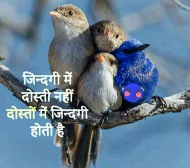Gujarati Blog by Pragnesh Ladani : 111166910