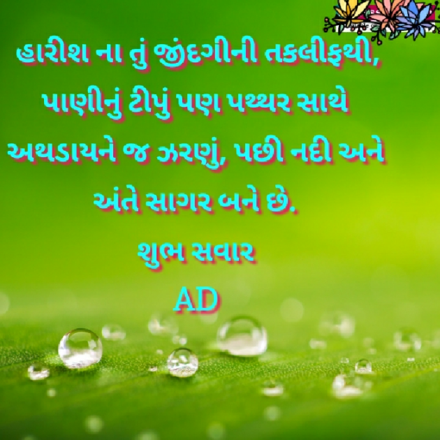 English Quotes by Mir : 111167136