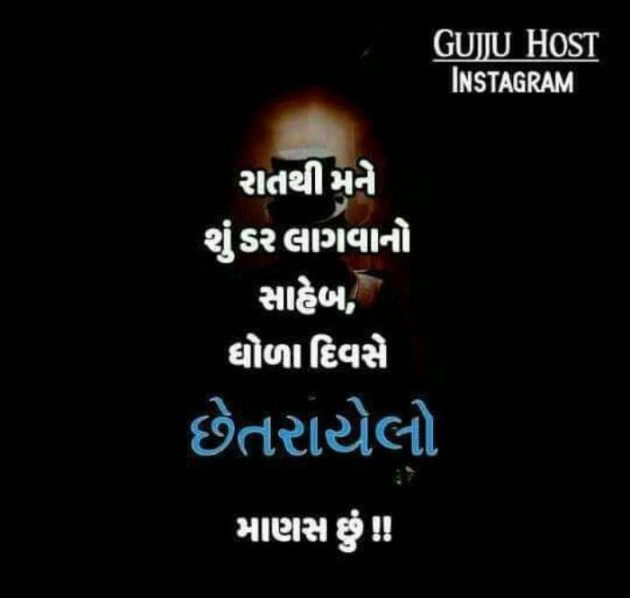 Gujarati Hiku by Vira : 111167226