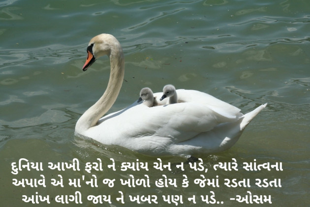 Gujarati Thought by Parmar Bhavesh : 111167391