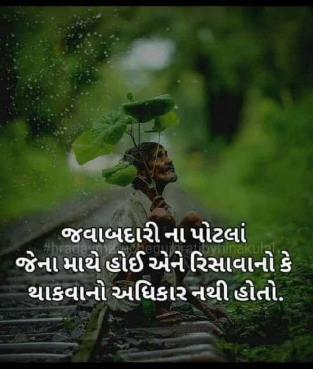 Gujarati Whatsapp-Status by Naksh Parmar : 111167501