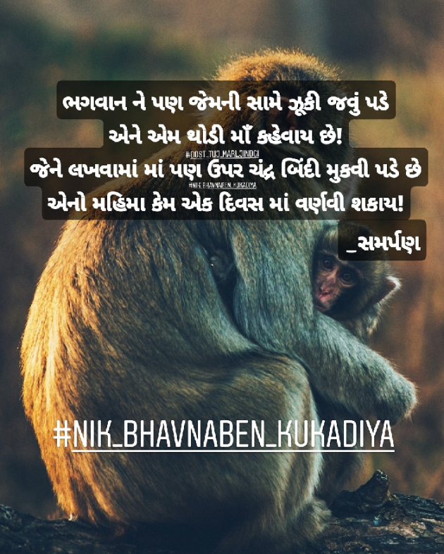 Gujarati Blog by Nikunj kukadiya samarpan : 111167774