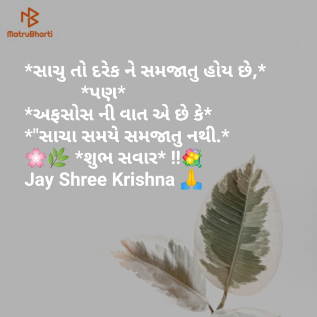 Gujarati Good Morning by SMChauhan : 111168088