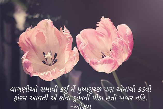 Gujarati Thought by Parmar Bhavesh : 111168130