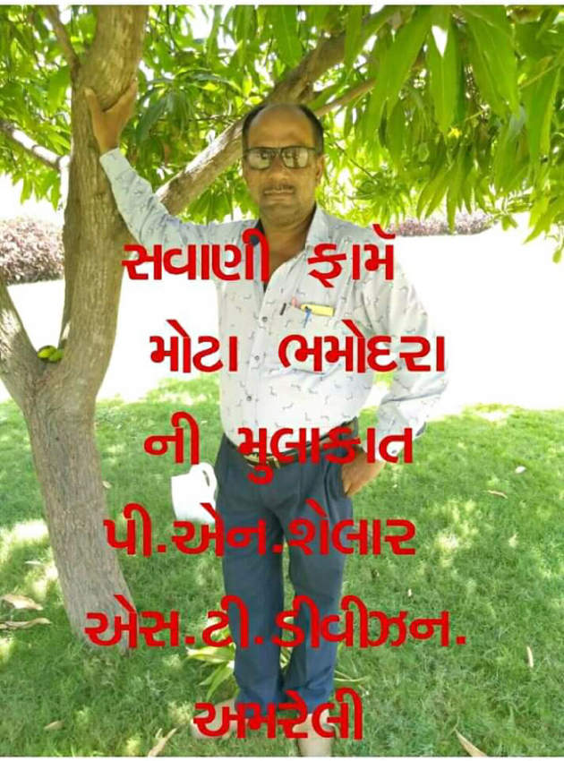 Gujarati Song by Pareshbhai N Shelar : 111168677