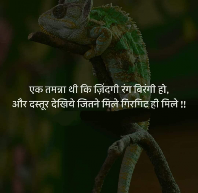 Gujarati Good Evening by The Boss : 111168725