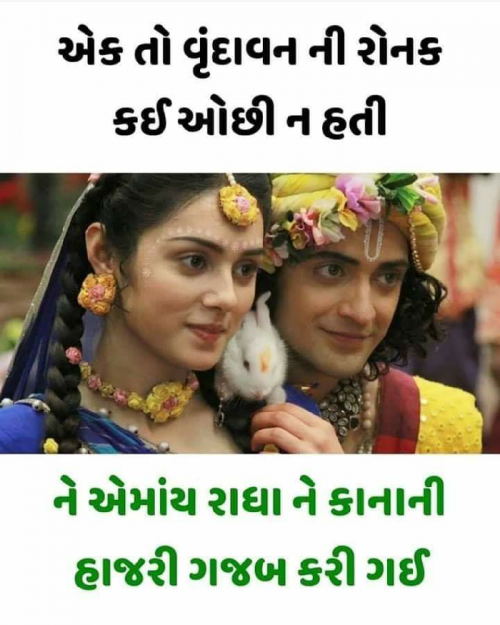 Post by Rajput Vipul on 13-May-2019 10:19pm