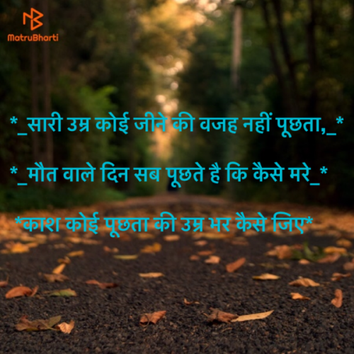 Post by Jignesh Patel on 14-May-2019 09:43am