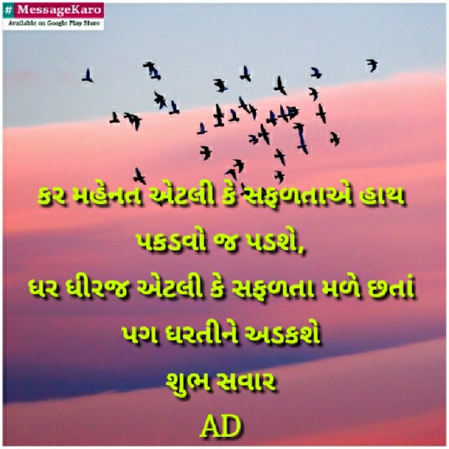 English Quotes by Mir : 111169336