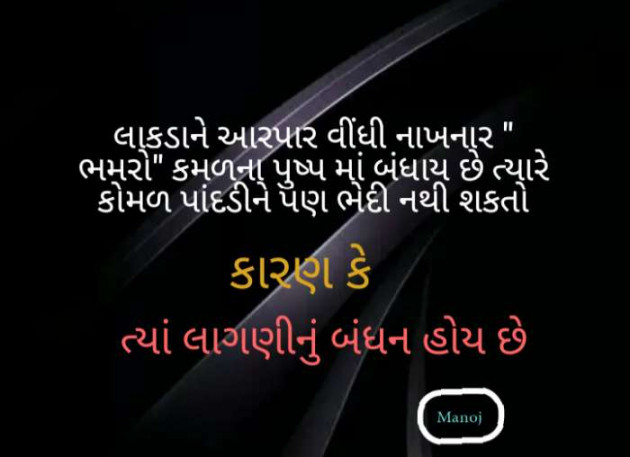 Gujarati Quotes by Manoj Manoj : 111169638