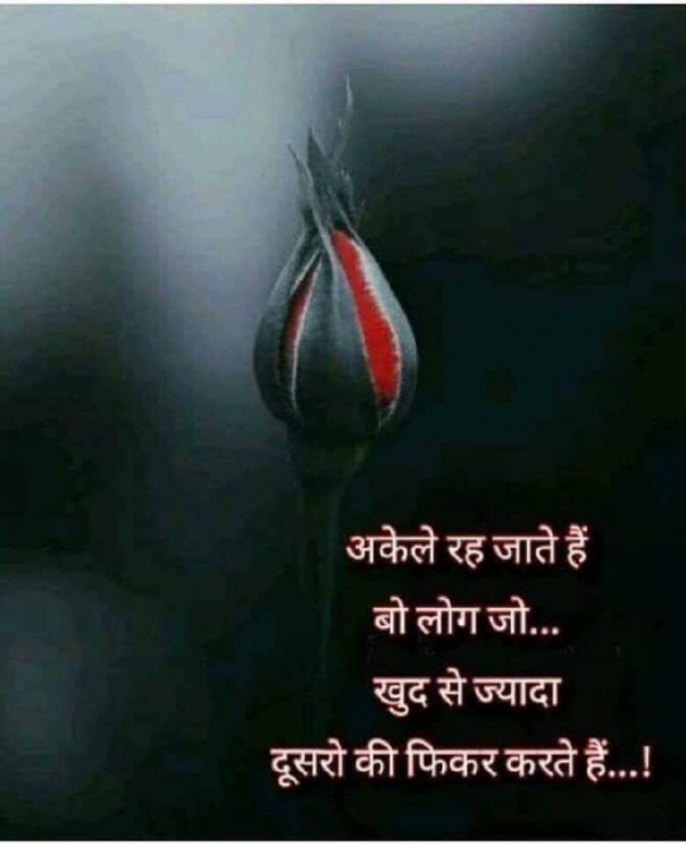 Gujarati Thought by Shailesh : 111169994